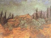 Vincent Van Gogh Wooden Sheds (nn04) Spain oil painting artist